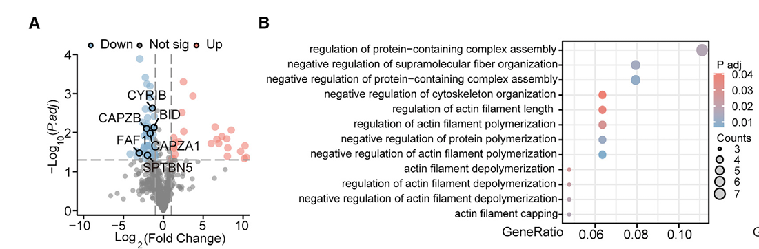 Research Articles Cites HemogloBind™ in Proteomic Analysis of Red Blood Cells